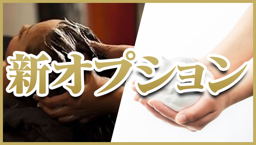 2つの【新オプション】登場!!画像